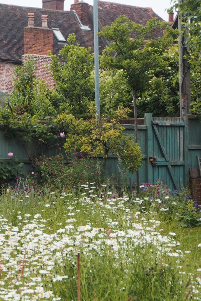 Meadow garden ideas for small gardens and backyards