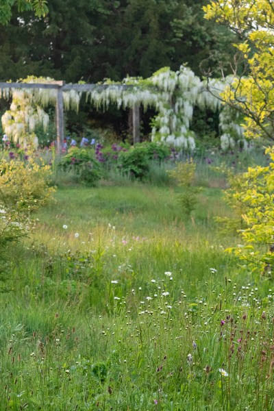 A wildflower lawn at Gravetye Manor Hotel