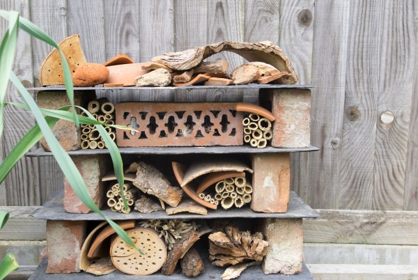 Bug hotel in a long thin town garden