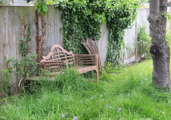 Bench under the tree.