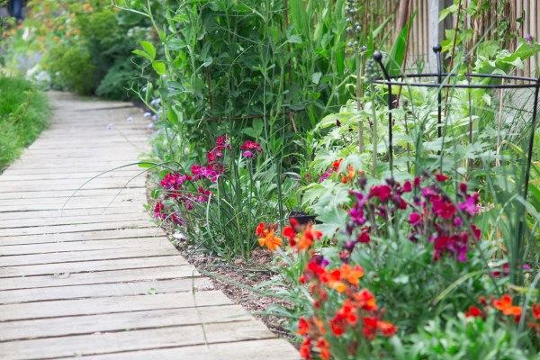 Long thin garden design