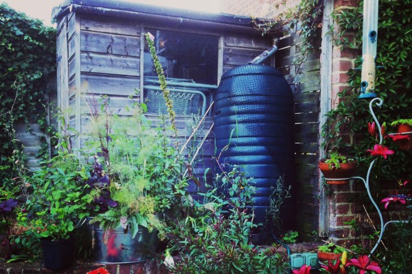 'Before' photo of the shed