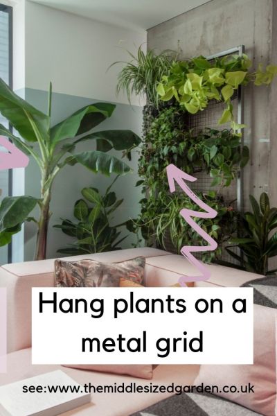 Use a wall grid to display plants