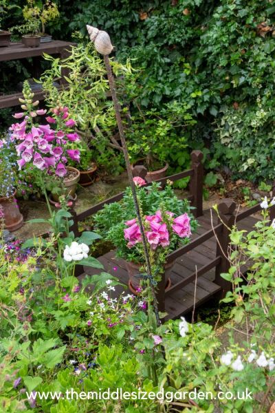 mini pond for frogs