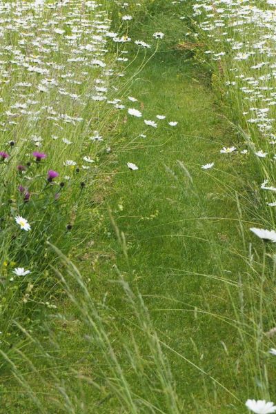 Save money on garden design - create a mown garden path