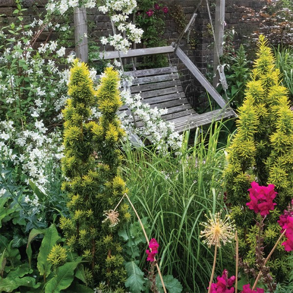 Increase privacy with taller flowers or plants near a bench or table