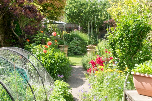 Or put your vegetable beds just outside the back door....