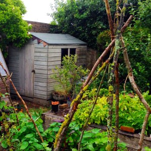 garden shed