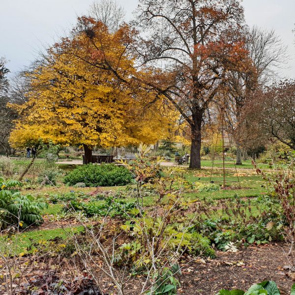 Oxford Botanic Gardens & Arboretum