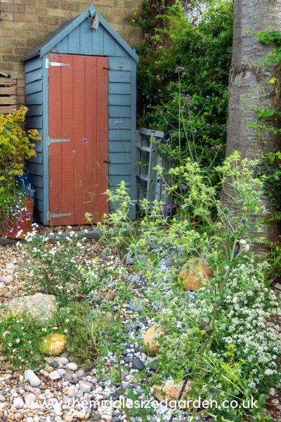 Shed storage for narrow gardens