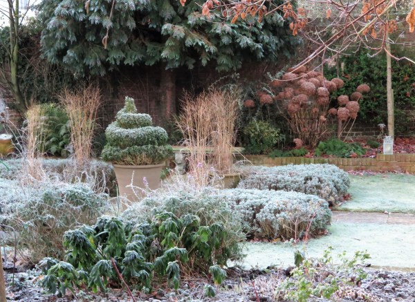 Grasses make good easy-care winter garden pots