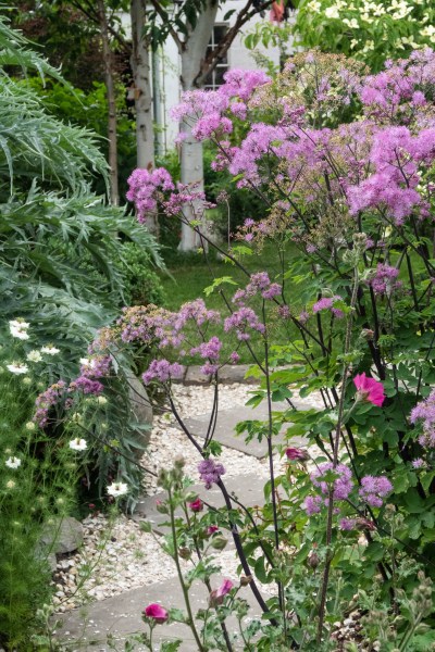 Airy planting works well in small gardens