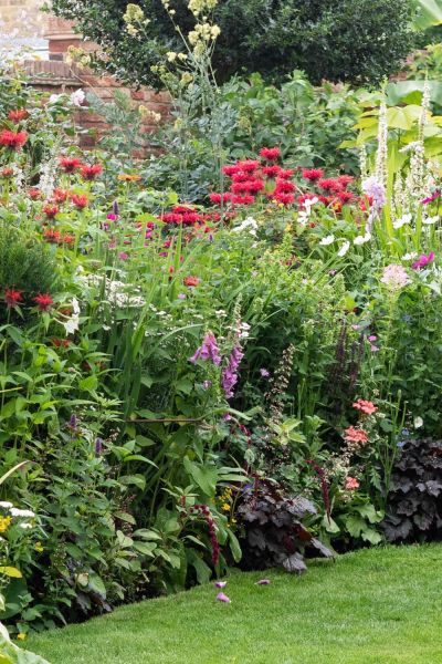 Herbaceous border