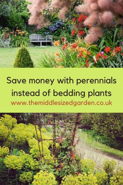 Perennial plants