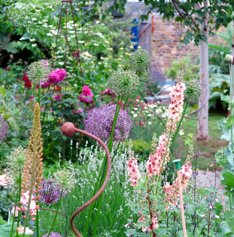 Verticals add texture to a long, thin town garden.