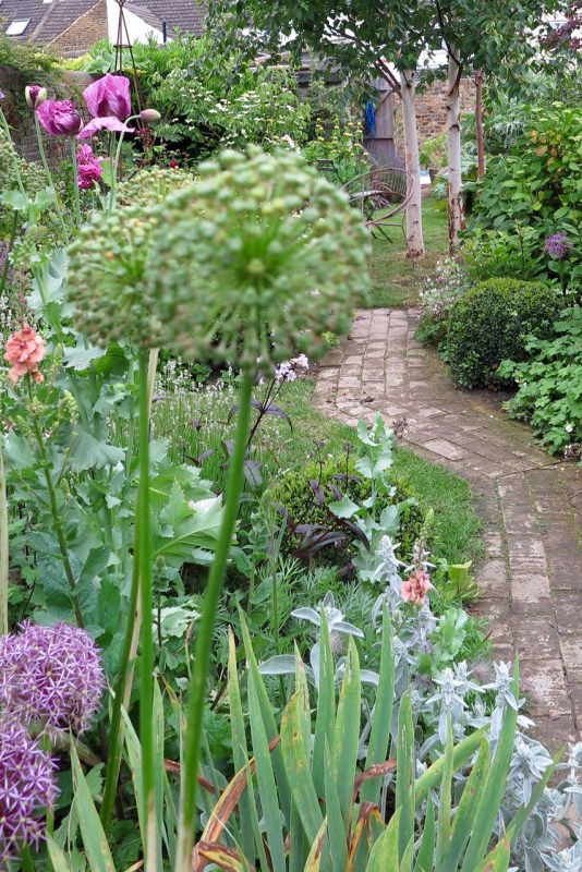 Make a long, thin town garden look bigger with a winding path.