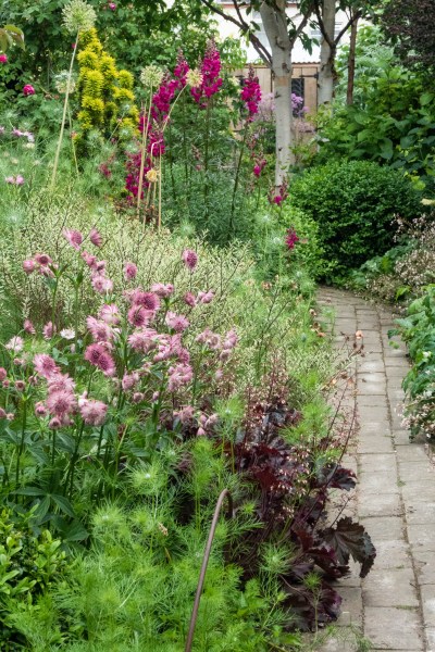 Small garden trees include silver birches