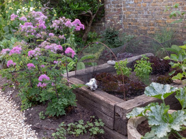 Do you need to screen the vegetable garden?