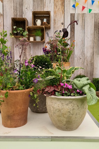 Pots as mini borders...