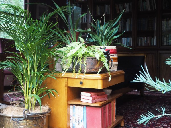 Brass and copper indoor garden pots and planters