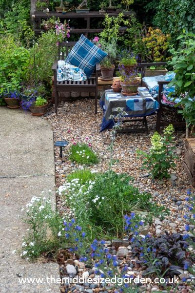 pretty seating area for north facing garden