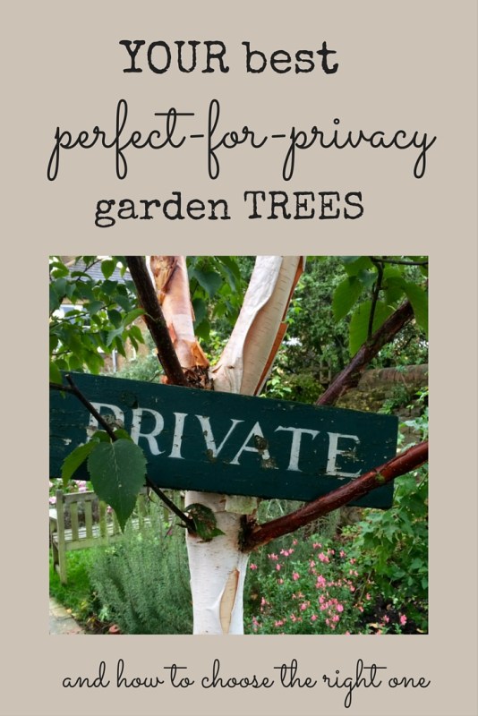 How to choose the right tree for privacy