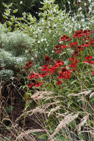 Create impact with one big border, #gardendesign