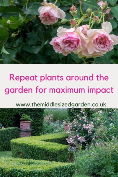 Repeat perennial flowers for maximum impact