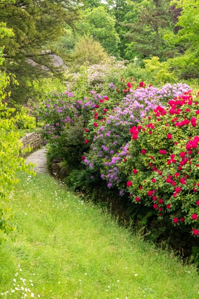 Shrubs and meadow grass at Gravetye Manor Hotel