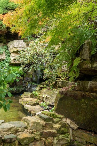 Rock garden at Leonardslee