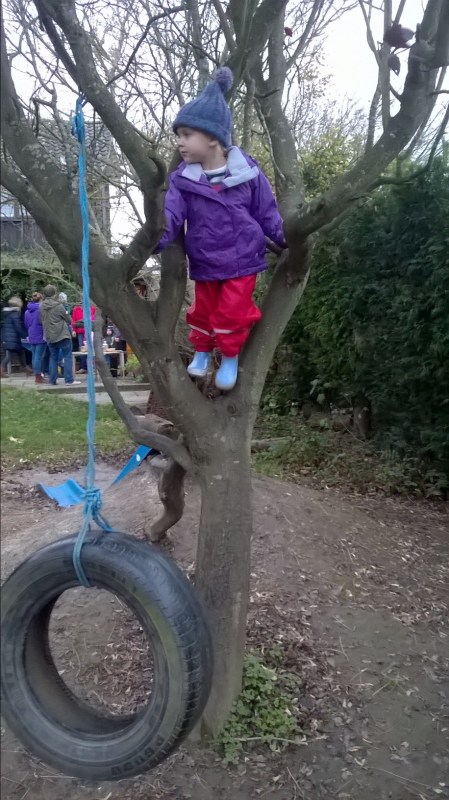 A mature tree offers an inexpensive frame for a rope or tyre swing.