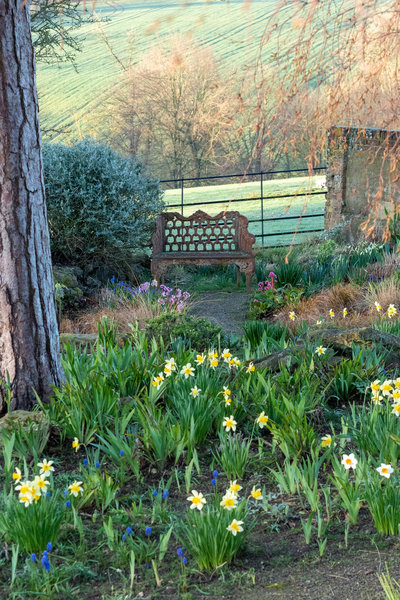 Bench overlooking countryside at Doddington Place Gardens