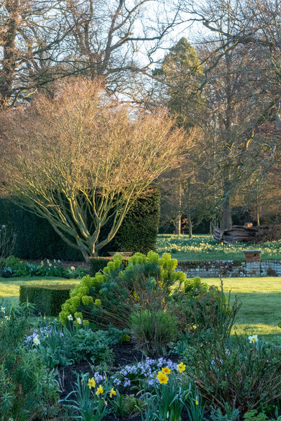 Spring garden at Doddington Place Gardens