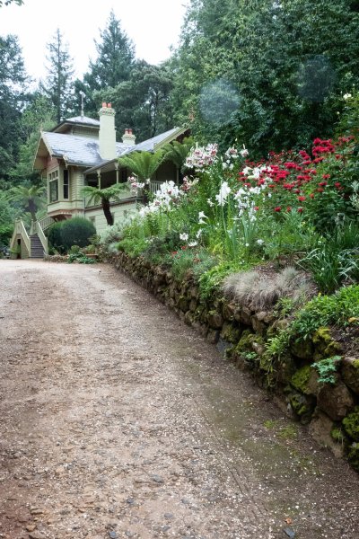 Mixed herbaceous border on a slope