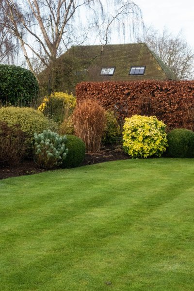 Clipped topiary shapes contrast with grasses and natural shrubs