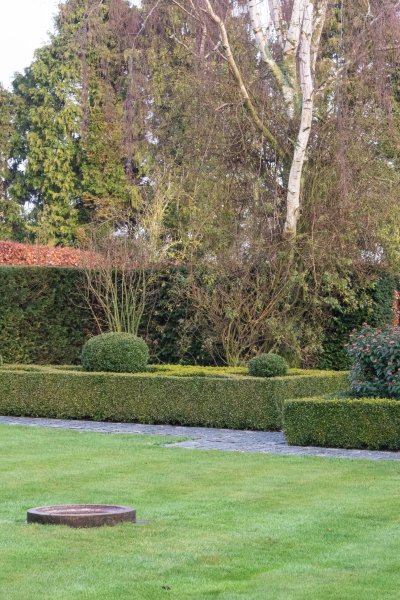 Beautiful contrasts in a topiary garden