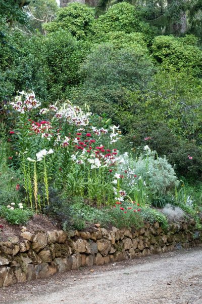 Red, white and silver flower border