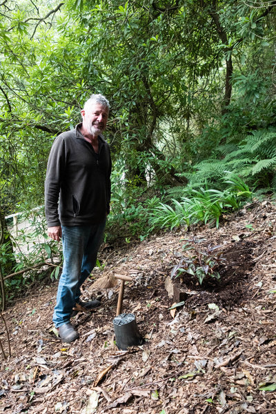 Stephen Ryan on how to plant on a slope