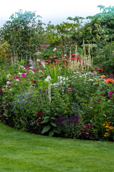 Long border full of plants