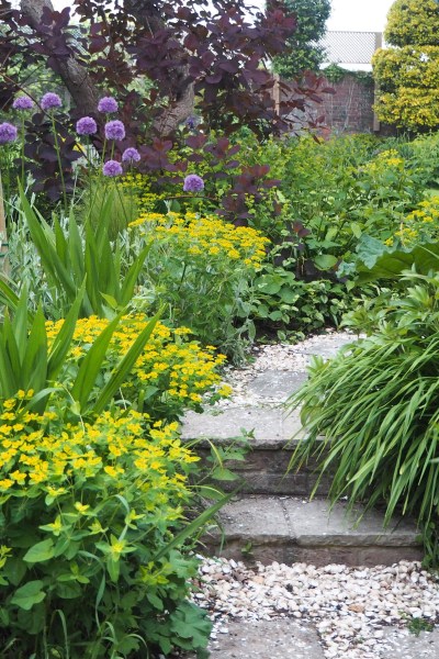 Wear knee pads to protect your knees while gardening