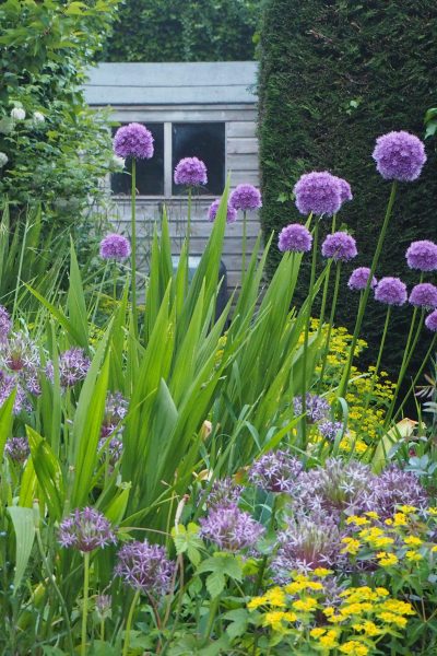 Using a weed-suppressing layer discourages self-seeded plants