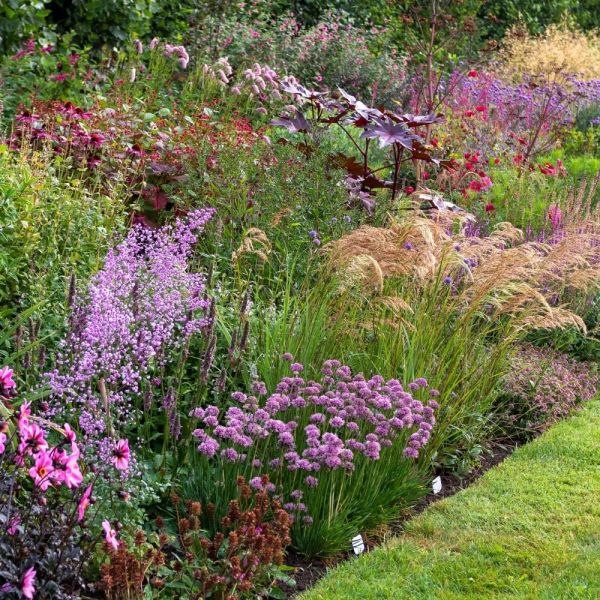 Think about proportion when planning a border