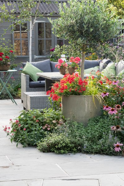 Mark out the garden zones with planting