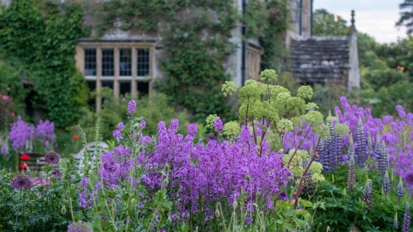 Gravetye Manor - the most beautiful garden I've ever seen?