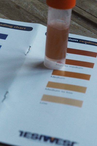 How to use the Testwest Soil Testing Kit to measure nutrients in the soil