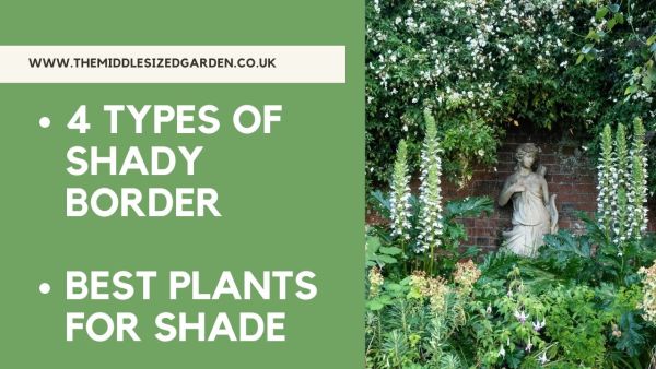 Find out what kind of shade your garden has.