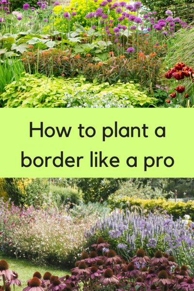 Planting ideas - how to plan your planting scheme so that your flowerbeds look brilliant. #gardening #planting