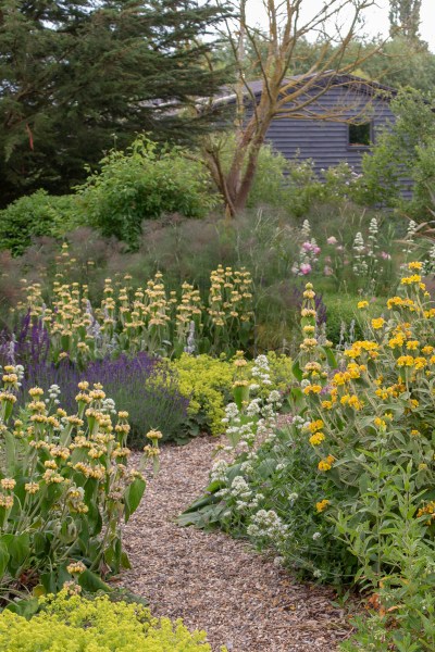 Plants which are fine in a windy garden will self-seed and spread