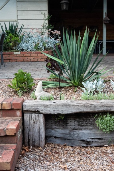 Close up of dry garden planting