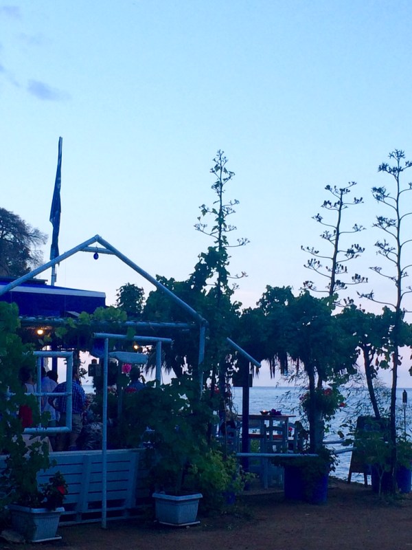 Organic restaurant on the beach in Spain